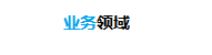 业务领域